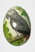 African Grey parrot hand-painted onto a swan egg