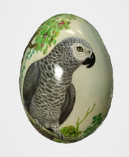 African Grey parrots hand-painted onto a decorative swan egg