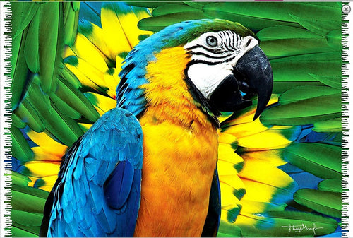 Close-up of a Blue & Gold Macaw Parrot set against a background of its brightly colored feathers! A gorgeous printed sarong with fringes.