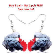African Grey Parrot preening its red tail - acrylic pierced earrings