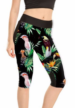 Leadbeater Cockatoo & Rosella parrots on stretch Capri pants / leggings