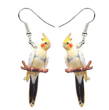 Pied cockatiel parrot pierced drop earrings