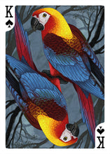 Cuban macaw featured in the Extinct Edition of the Parrot Playing Cards