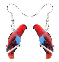 Female Eclectus Parrot pierced drop earrings