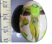 Hand-painted Swan Egg of an Indian Ringneck