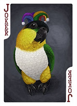 Black-headed caique as a Joker playing card