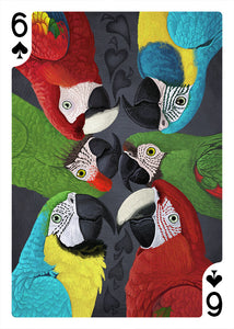 Six macaws featured on the 6 of spades playing card