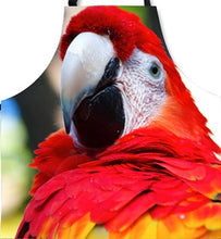 Close-up of Scarlet macaw kitchen apron