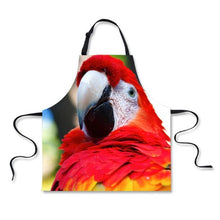 Scarlet macaw kitchen apron