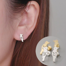 Cockatoo Stud Earrings