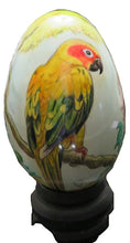 Hand-painted Swan Egg of a Sun Conure