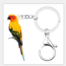 Sun Conure parrot keyring key ring key chain with attached clasp