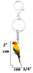 Dimensions of Sun Conure parrot keyring key ring key chain with extra clasp