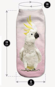 Sulfer crested cockatoo ankle socks for sale