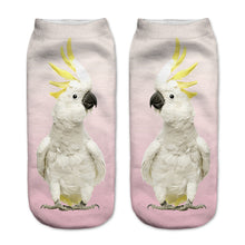 Sulphur crested Cockatoo ankle socks for sale